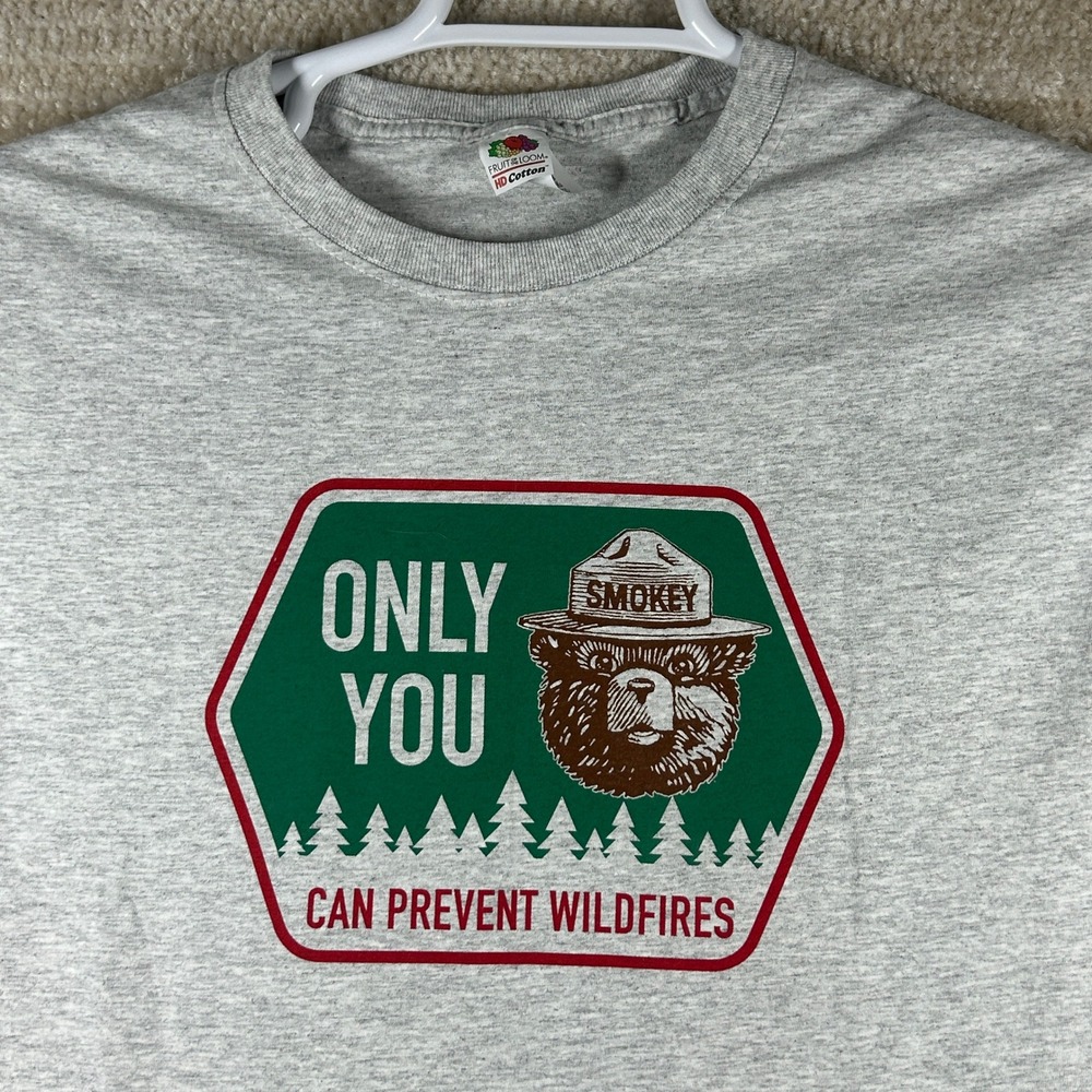 Fruit of the Loom Mens Smokey Bear Only You Prevent Wildfires Graphic Tee Gray M